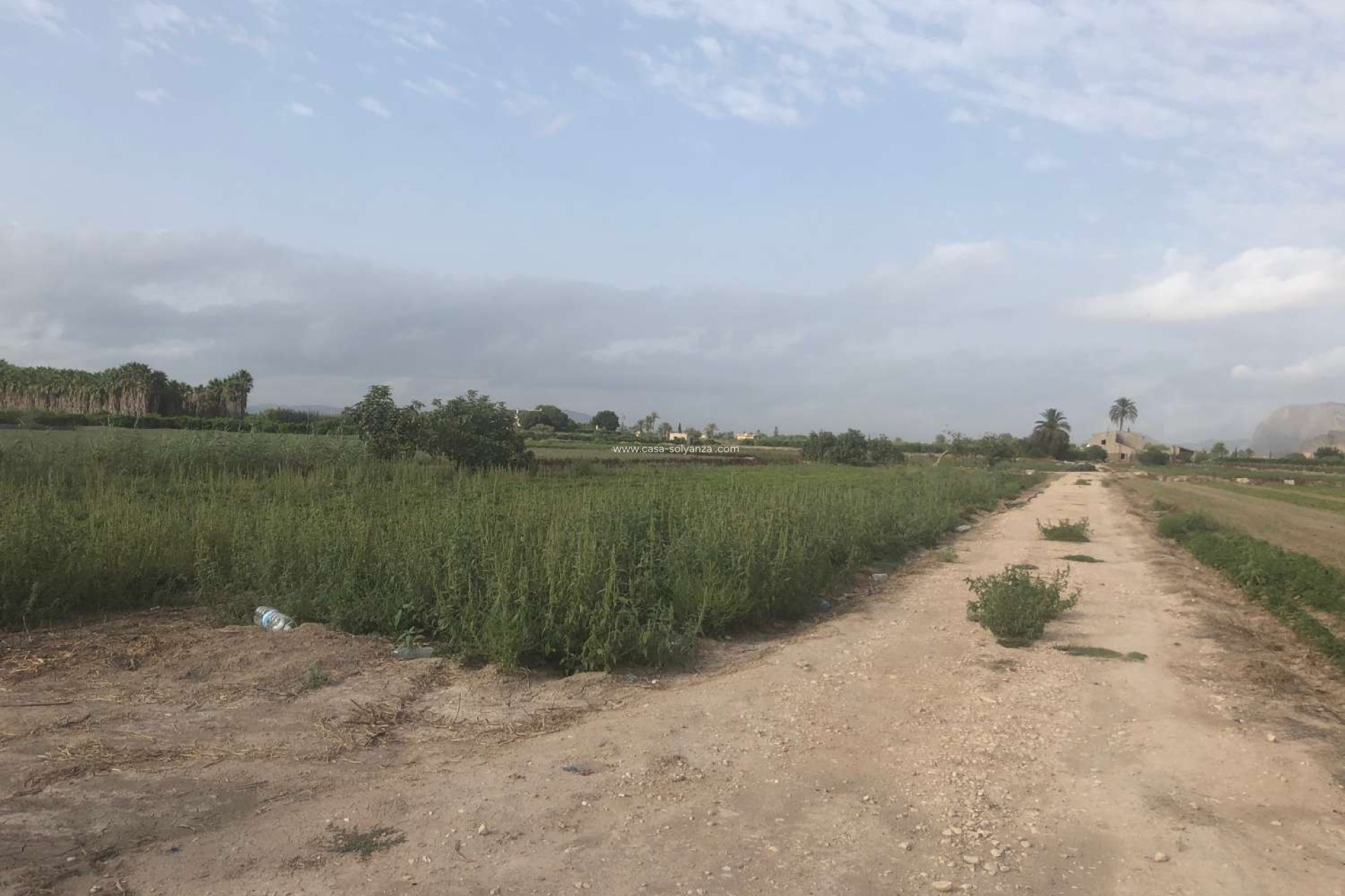 Wiederverkauf - Country Property/Finca - Callosa de Segura - Callosa De Segura