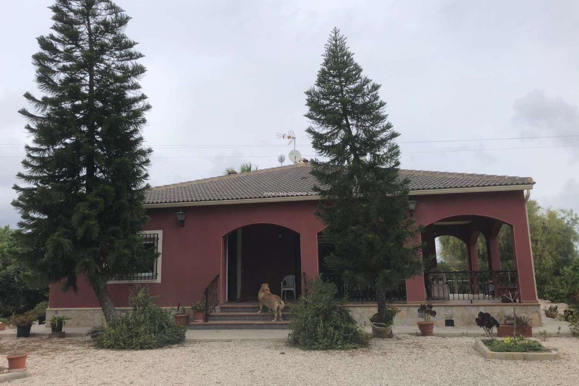 Wiederverkauf - Country Property/Finca - Callosa de Segura - Callosa De Segura