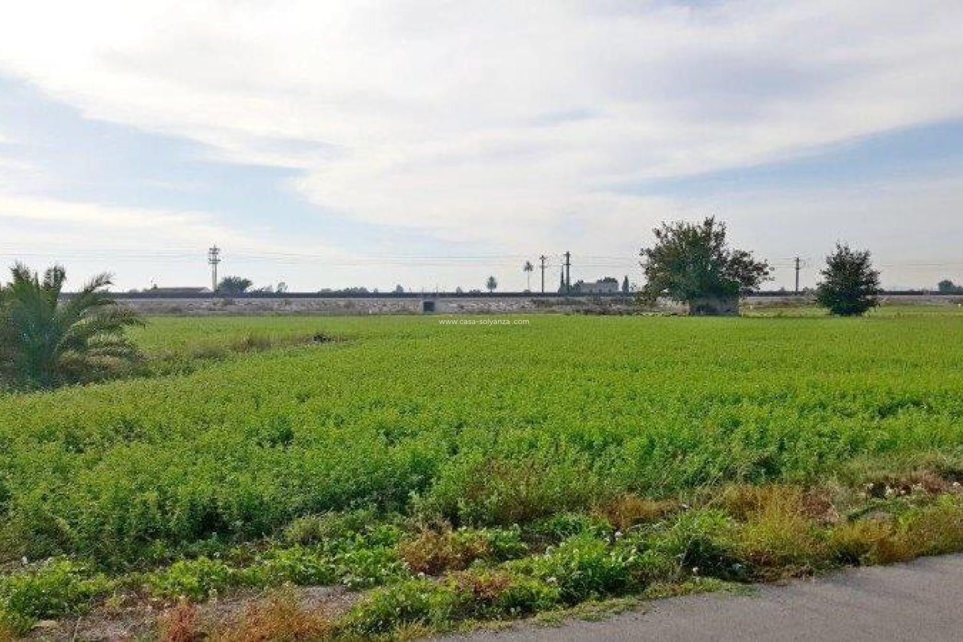 Wiederverkauf - Country Property/Finca - Callosa De Segura