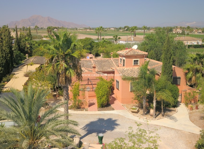 Wiederverkauf - Country Property/Finca - Catral - Catral - Country