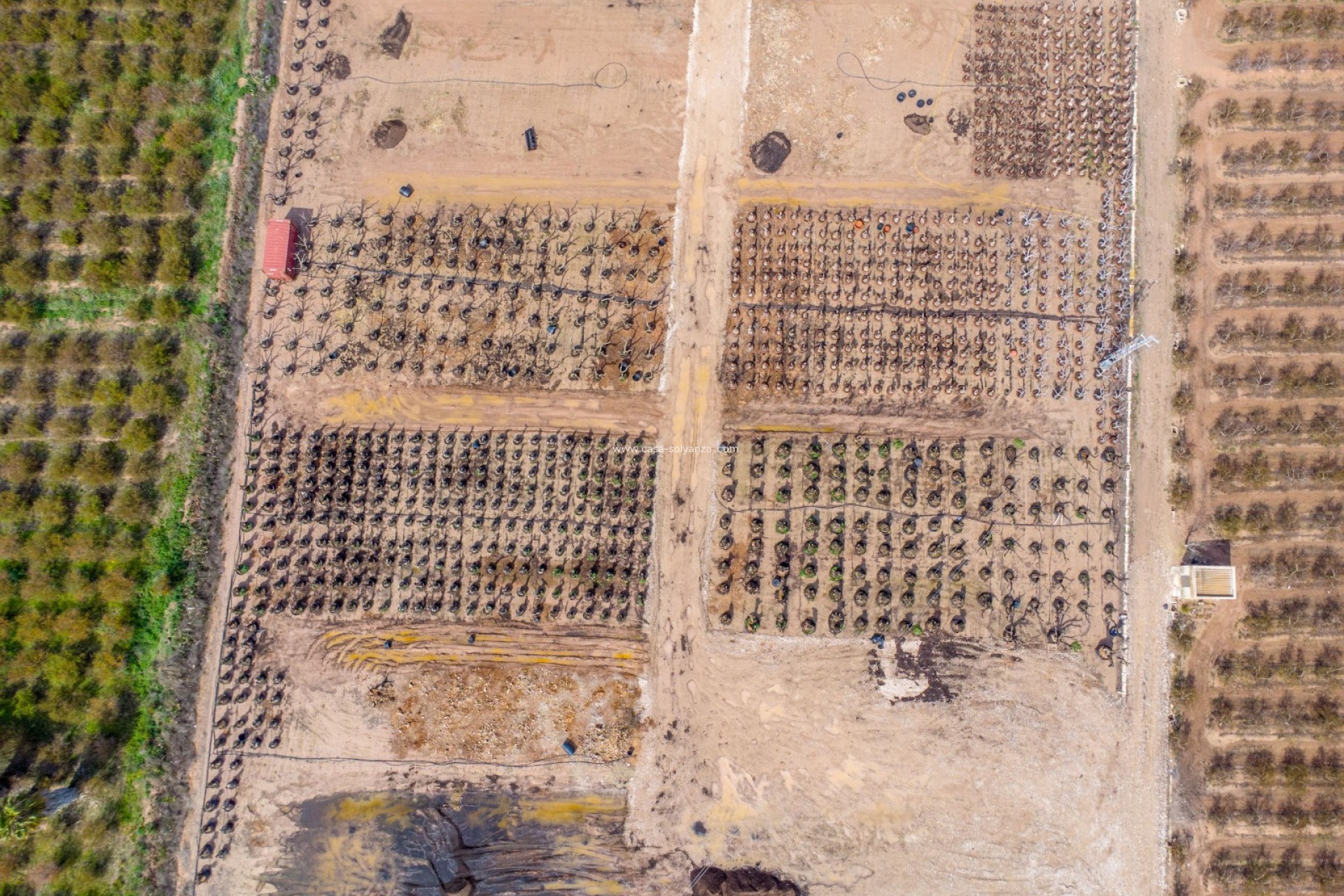 Wiederverkauf - Country Property/Finca - Crevillente - Crevillent