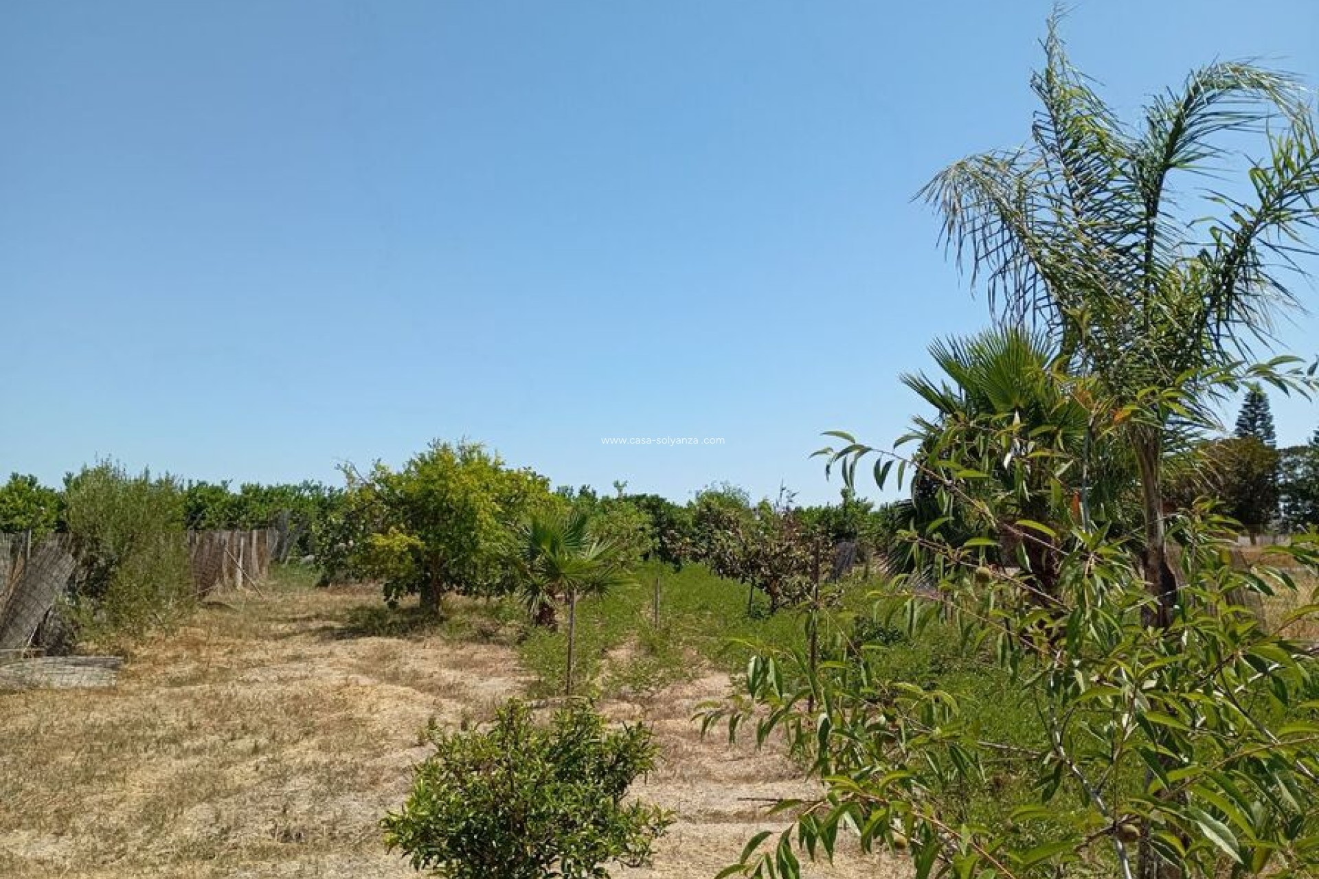Wiederverkauf - Country Property/Finca - Daya Nueva - Costa Blanca