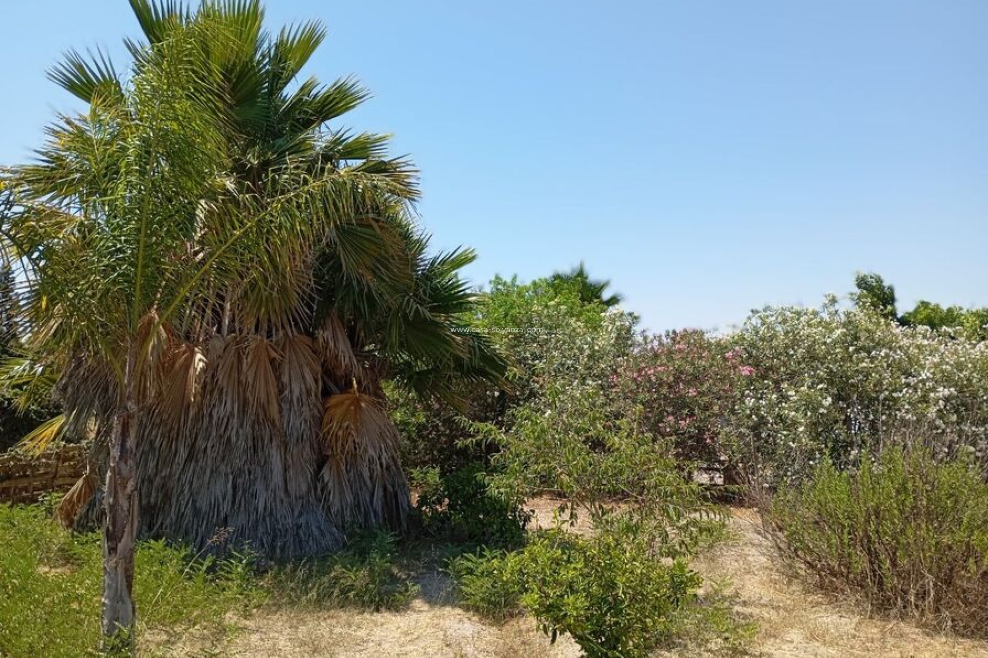 Wiederverkauf - Country Property/Finca - Daya Nueva - Costa Blanca
