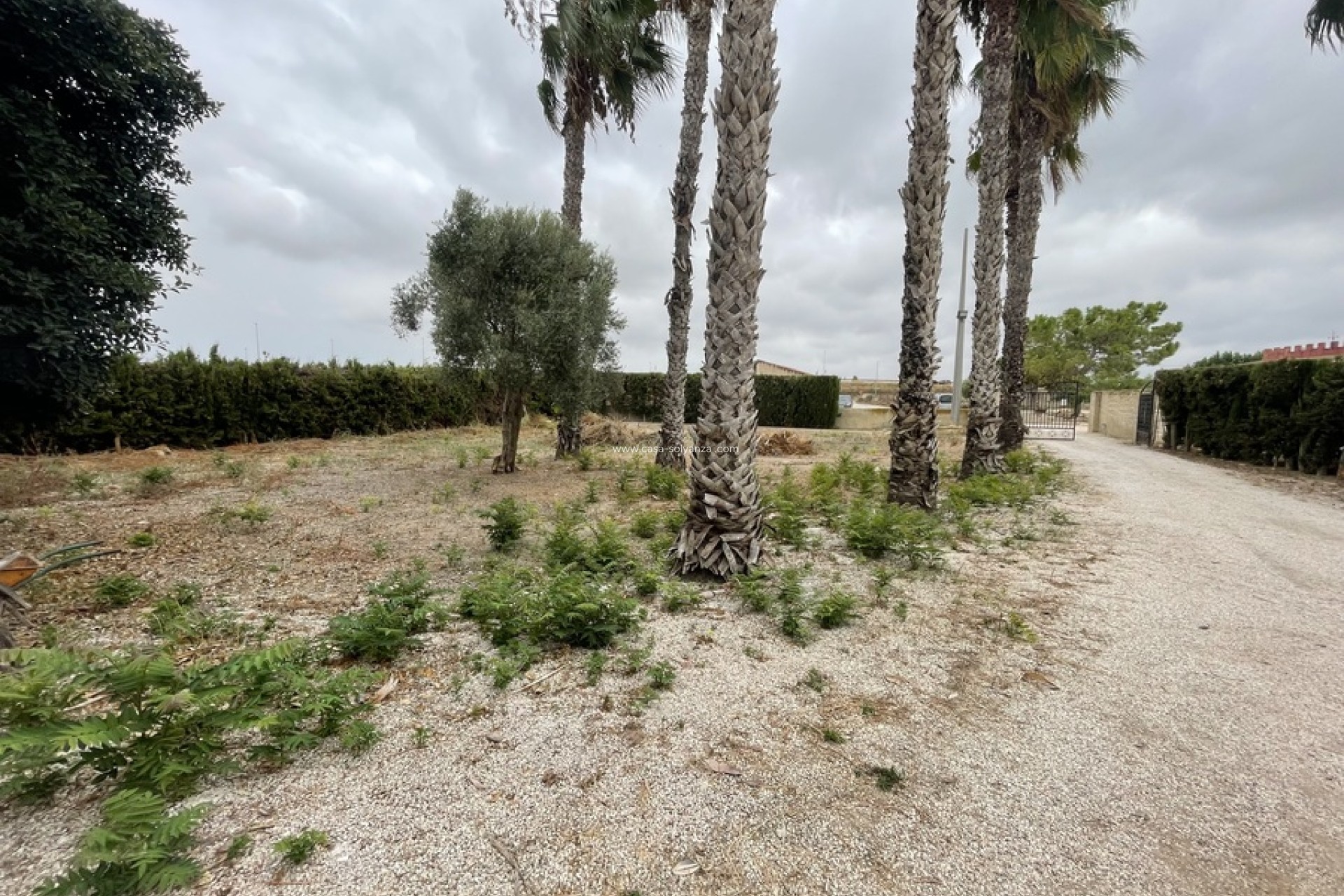 Wiederverkauf - Country Property/Finca - Daya Vieja - 0