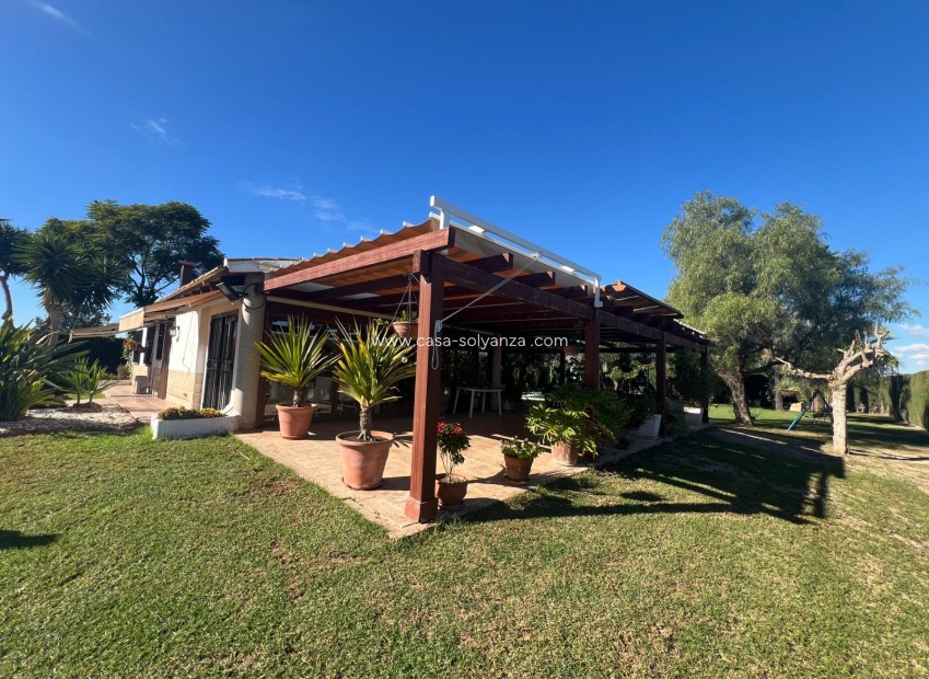 Wiederverkauf - Country Property/Finca - Dolores - Comunidad Valenciana
