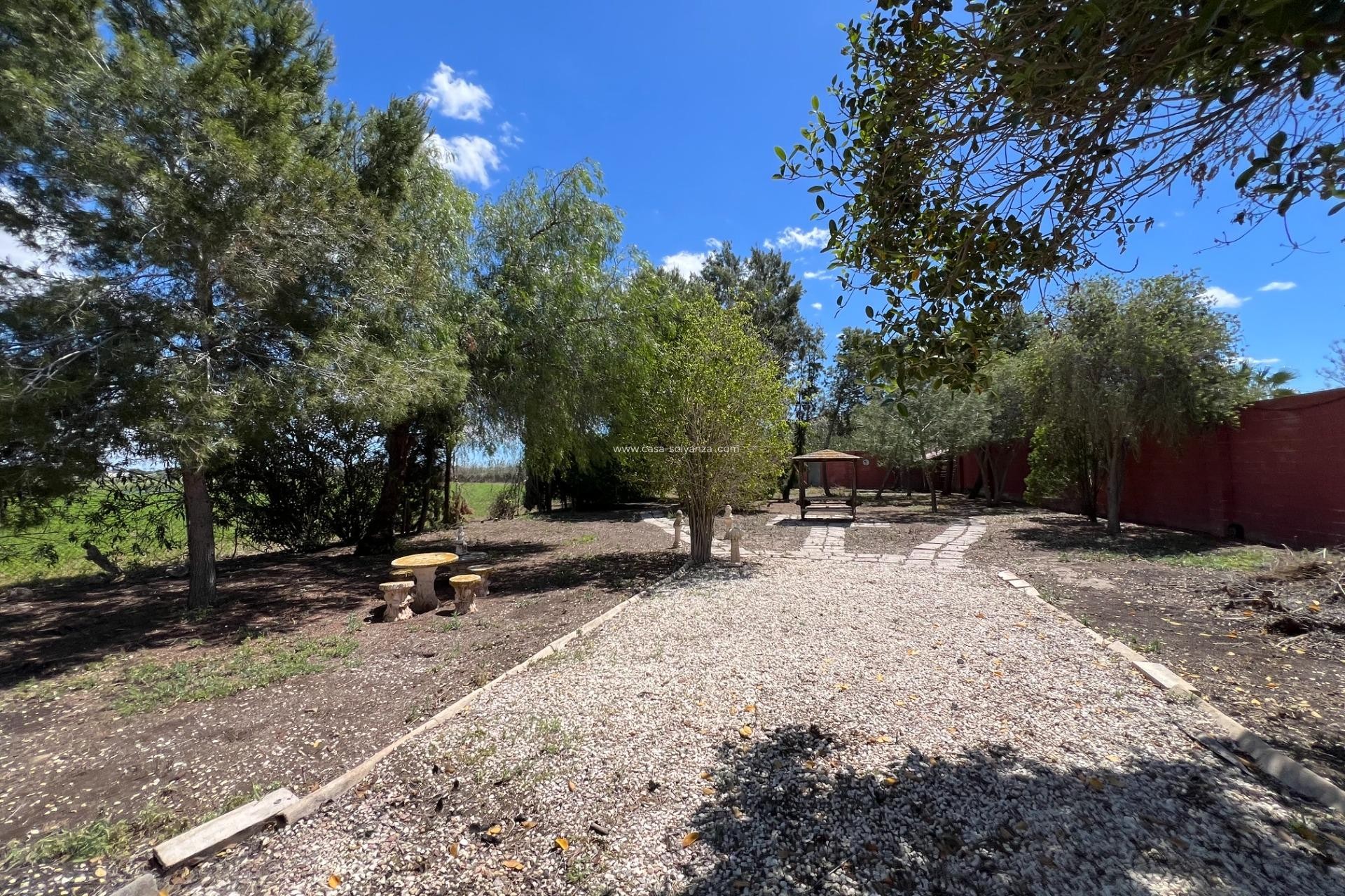 Wiederverkauf - Country Property/Finca - Dolores - Comunidad Valenciana