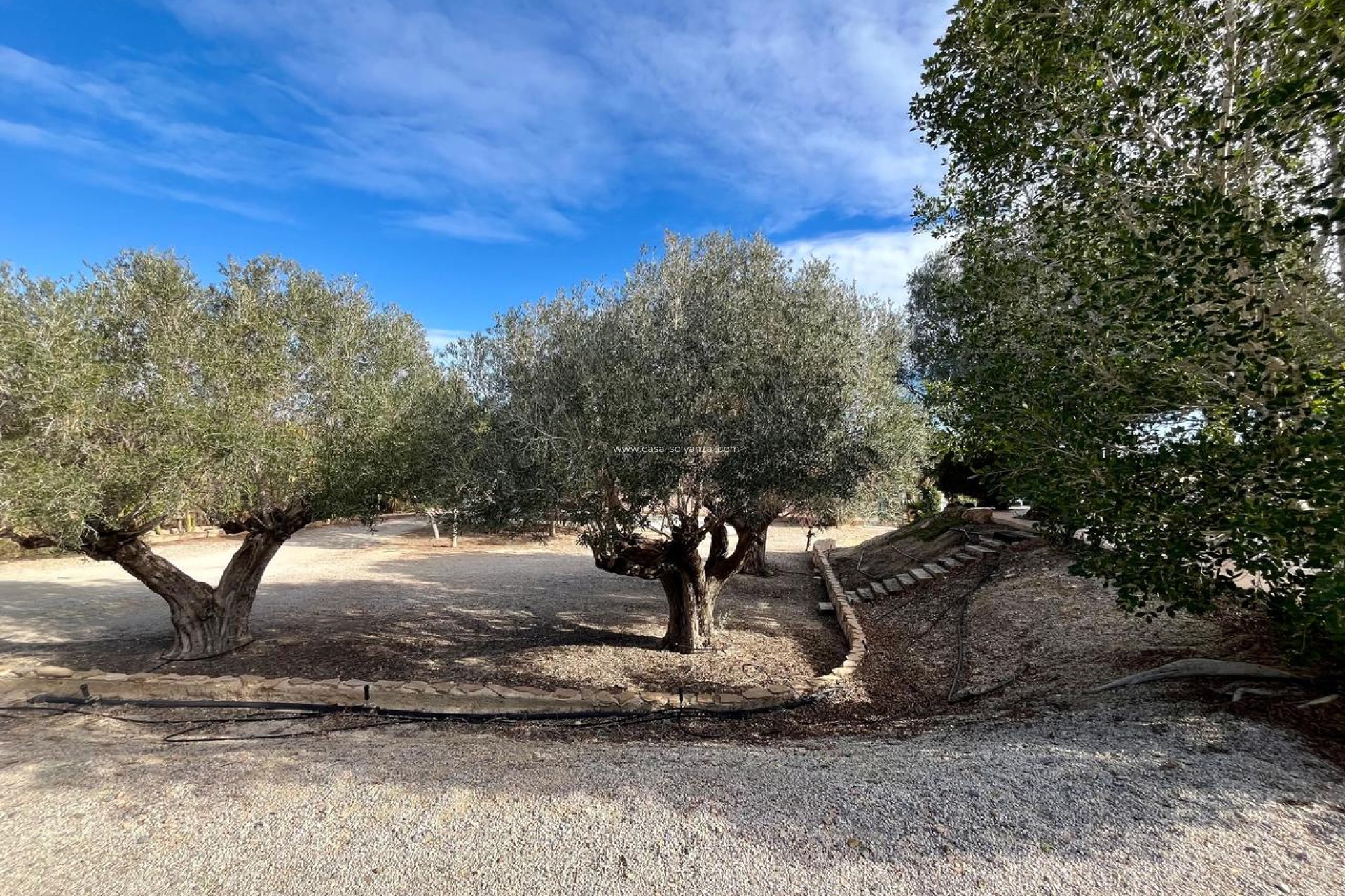 Wiederverkauf - Country Property/Finca - El Esparragal - Inland