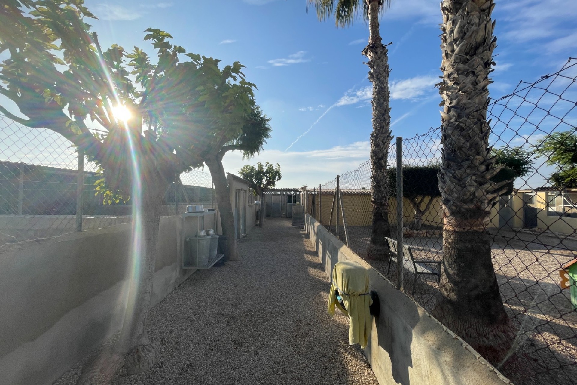 Wiederverkauf - Country Property/Finca - Elche - Costa Blanca