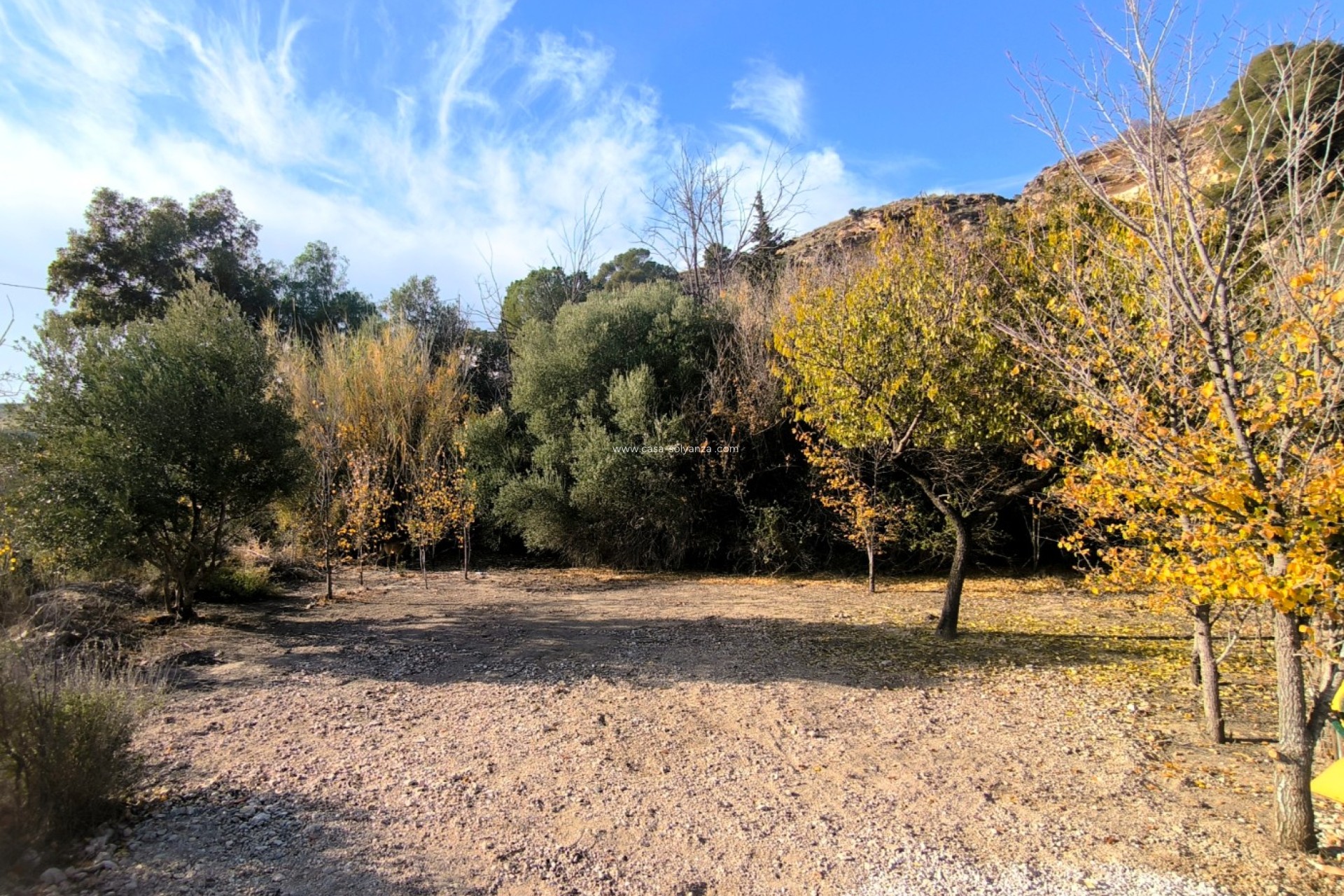 Wiederverkauf - Country Property/Finca - Fortuna - Inland