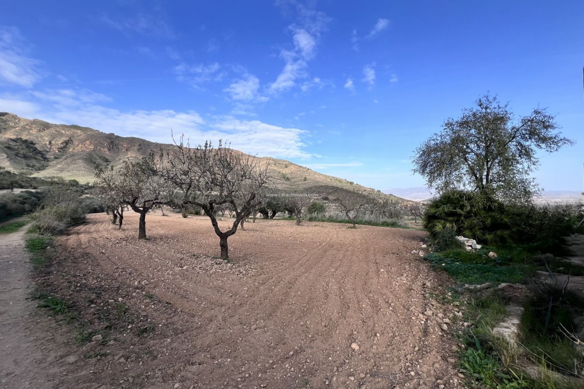 Wiederverkauf - Country Property/Finca - Fuente Alamo - La Pinilla - Las Palas