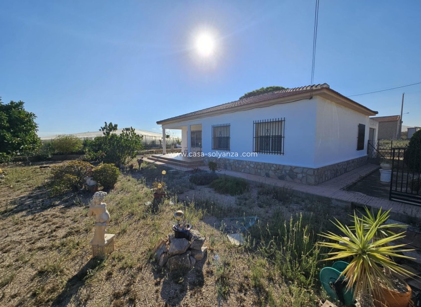 Wiederverkauf - Country Property/Finca - Guardamar del Segura - Buenavista