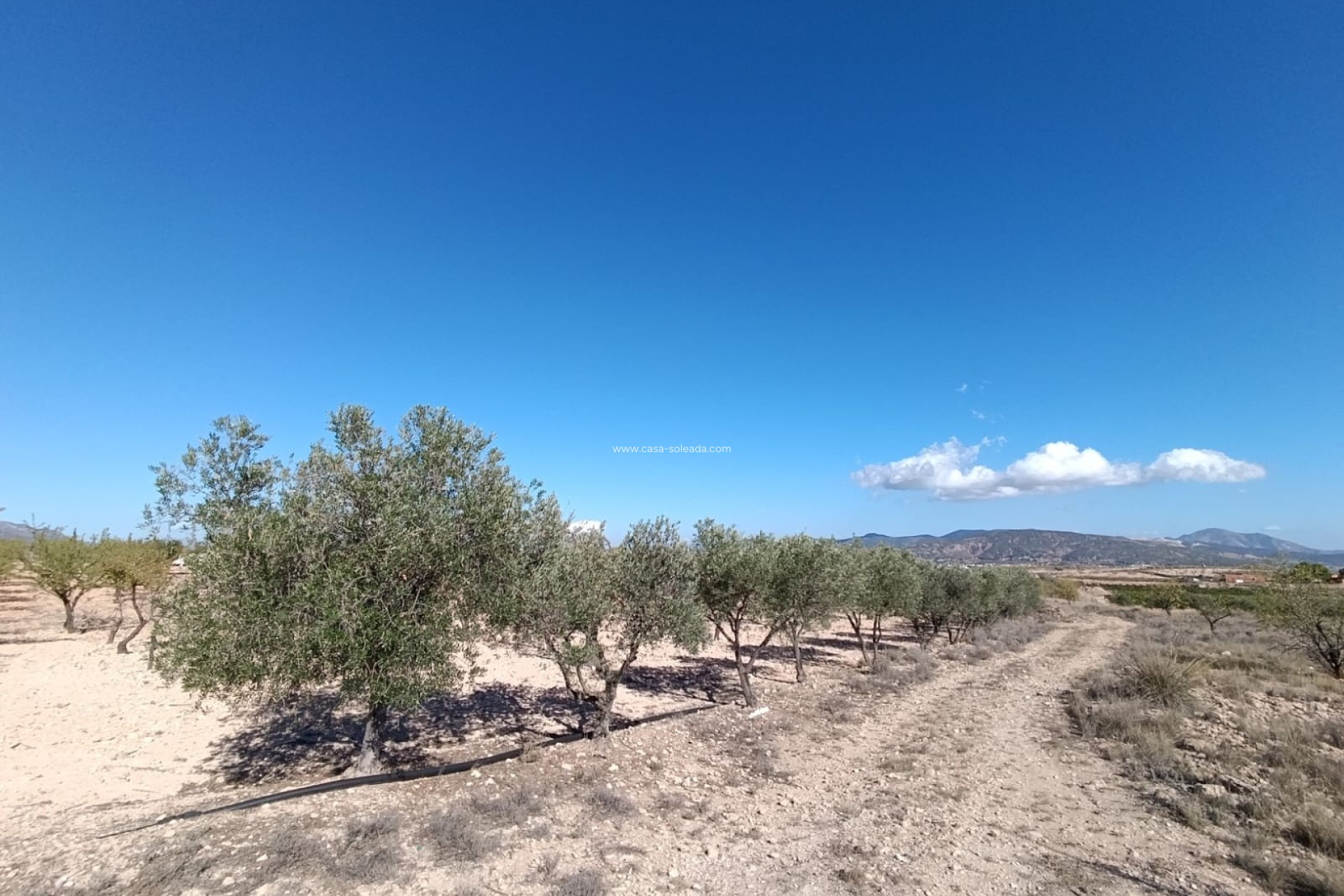 Wiederverkauf - Country Property/Finca - Jumilla - Inland