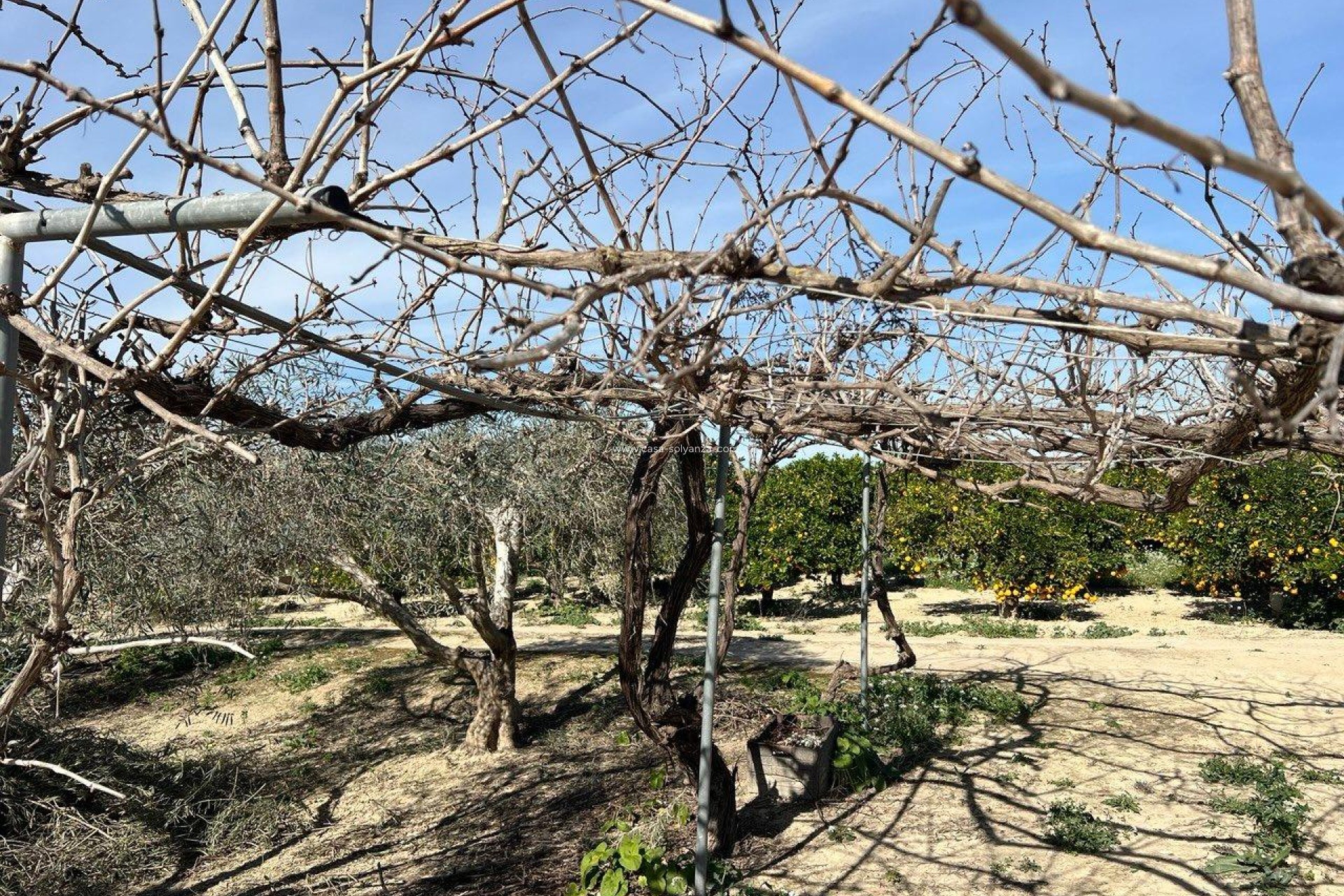 Wiederverkauf - Country Property/Finca - Los Montesinos - Comunidad Valenciana