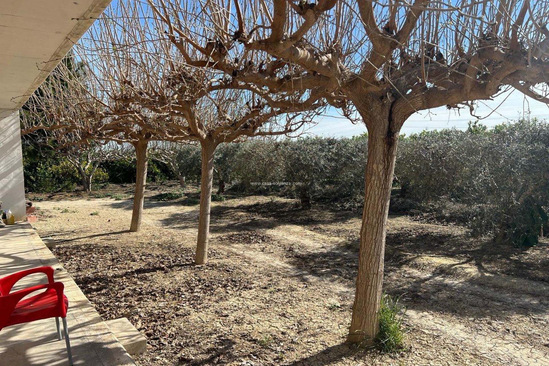 Wiederverkauf - Country Property/Finca - Los Montesinos - Comunidad Valenciana