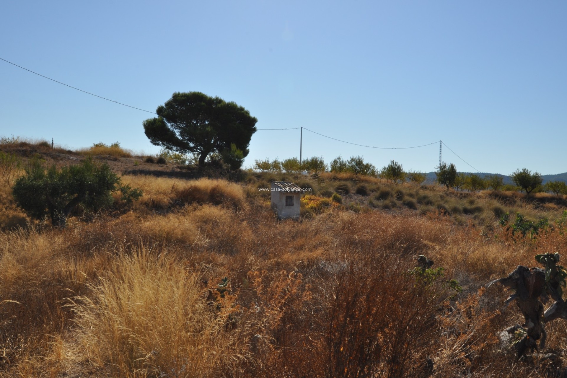 Wiederverkauf - Country Property/Finca - Macisvenda - Inland