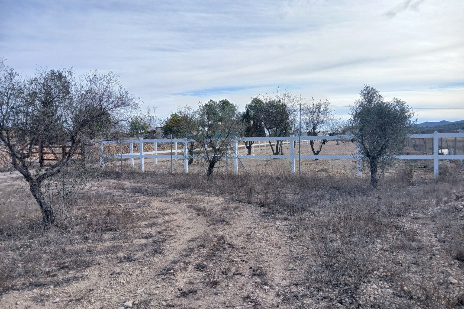 Wiederverkauf - Country Property/Finca - Monóvar - Inland