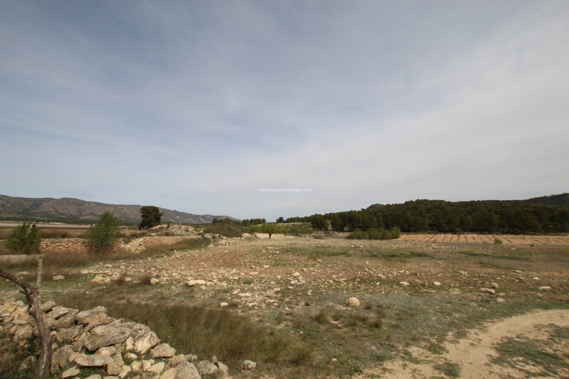 Wiederverkauf - Country Property/Finca - Monóvar - Inland