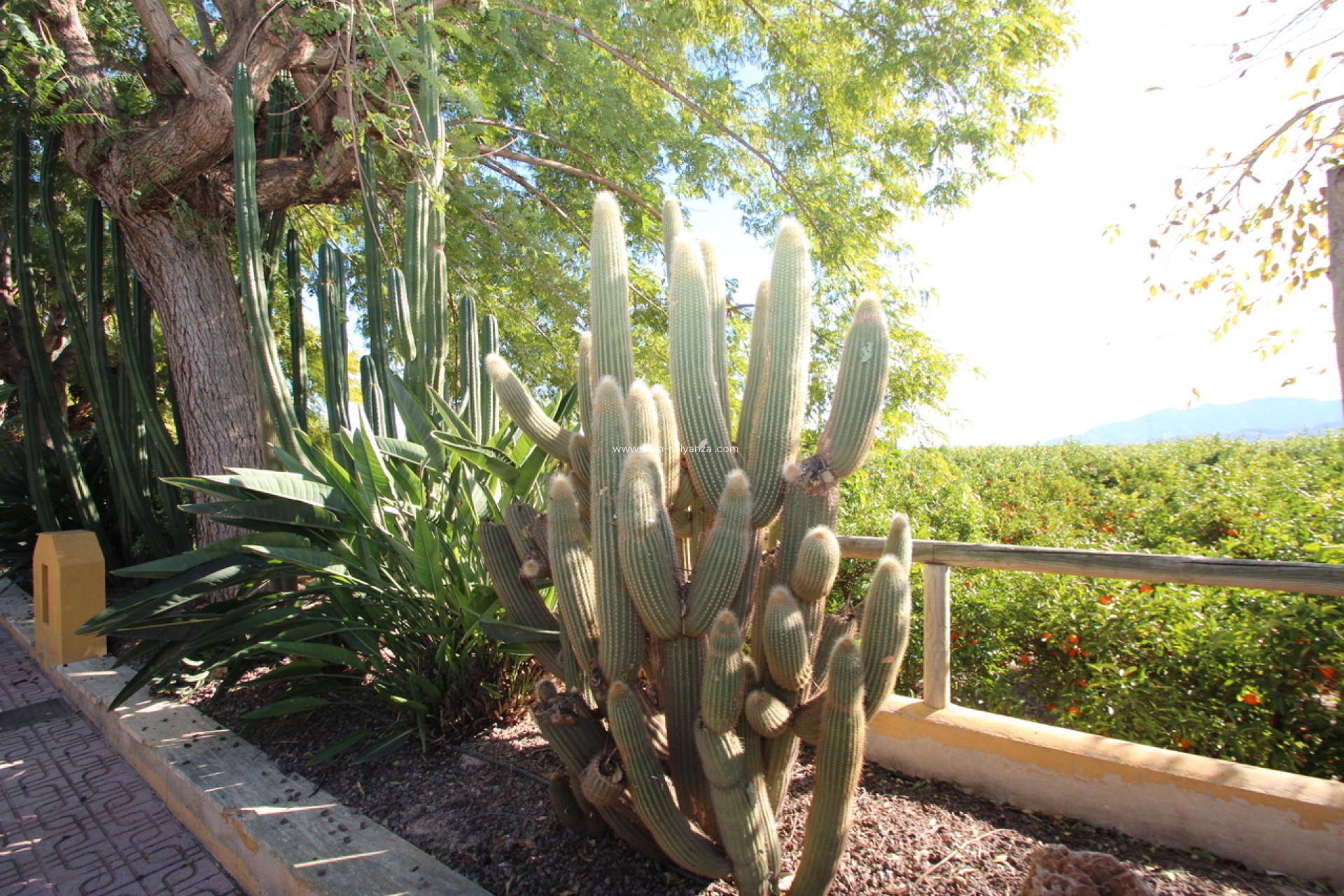 Wiederverkauf - Country Property/Finca - Murcia - Costa Blanca Sur