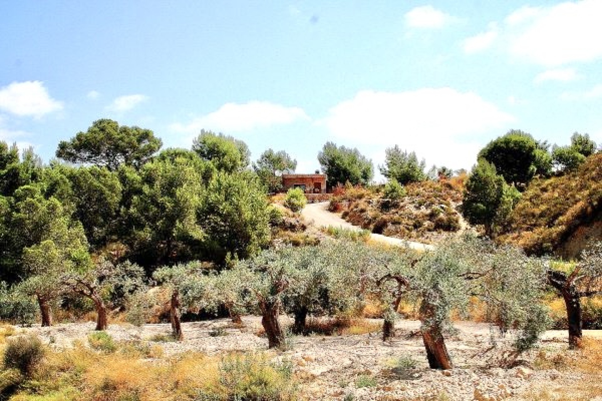 Wiederverkauf - Country Property/Finca - Murcia - Inland