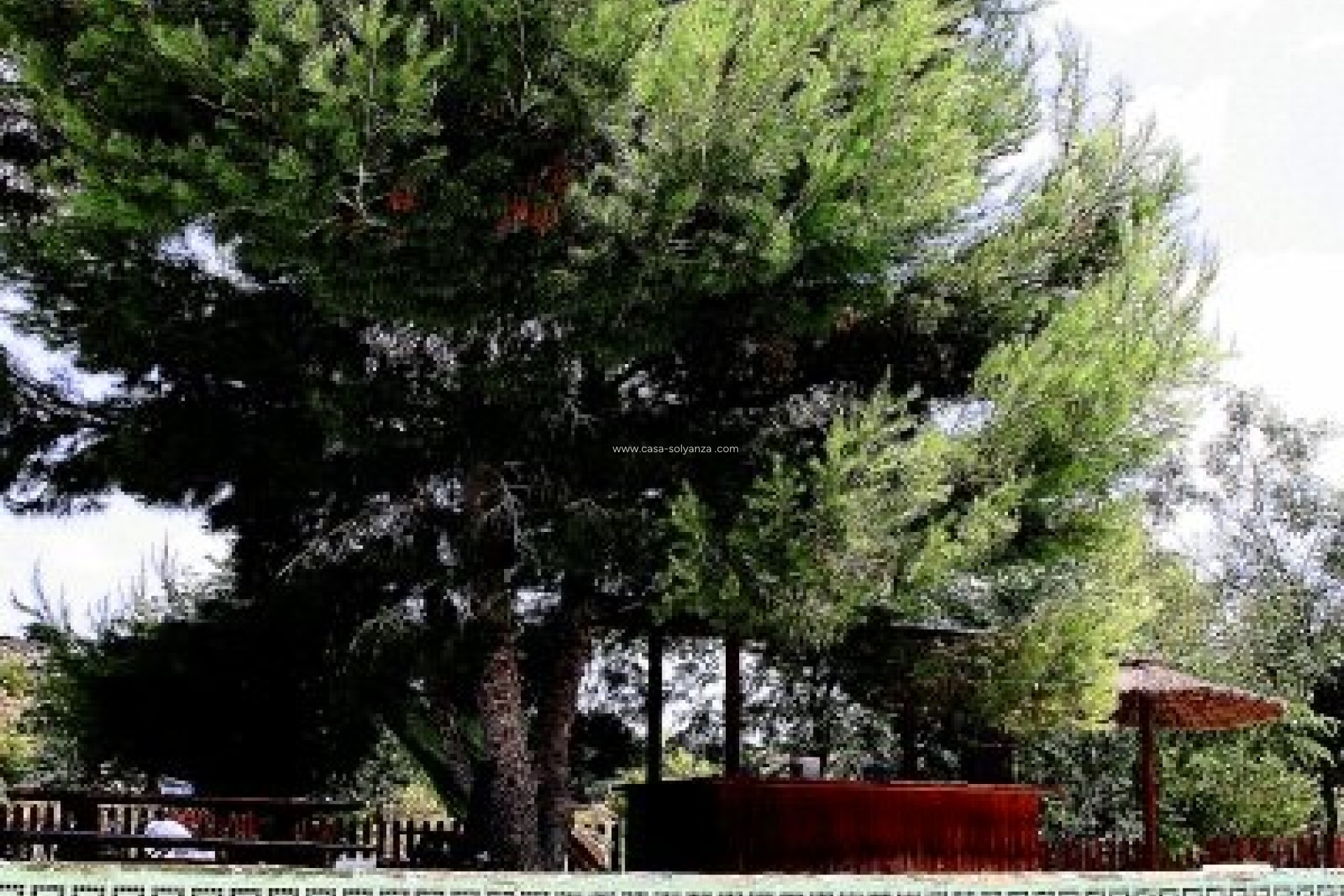 Wiederverkauf - Country Property/Finca - Murcia - Inland