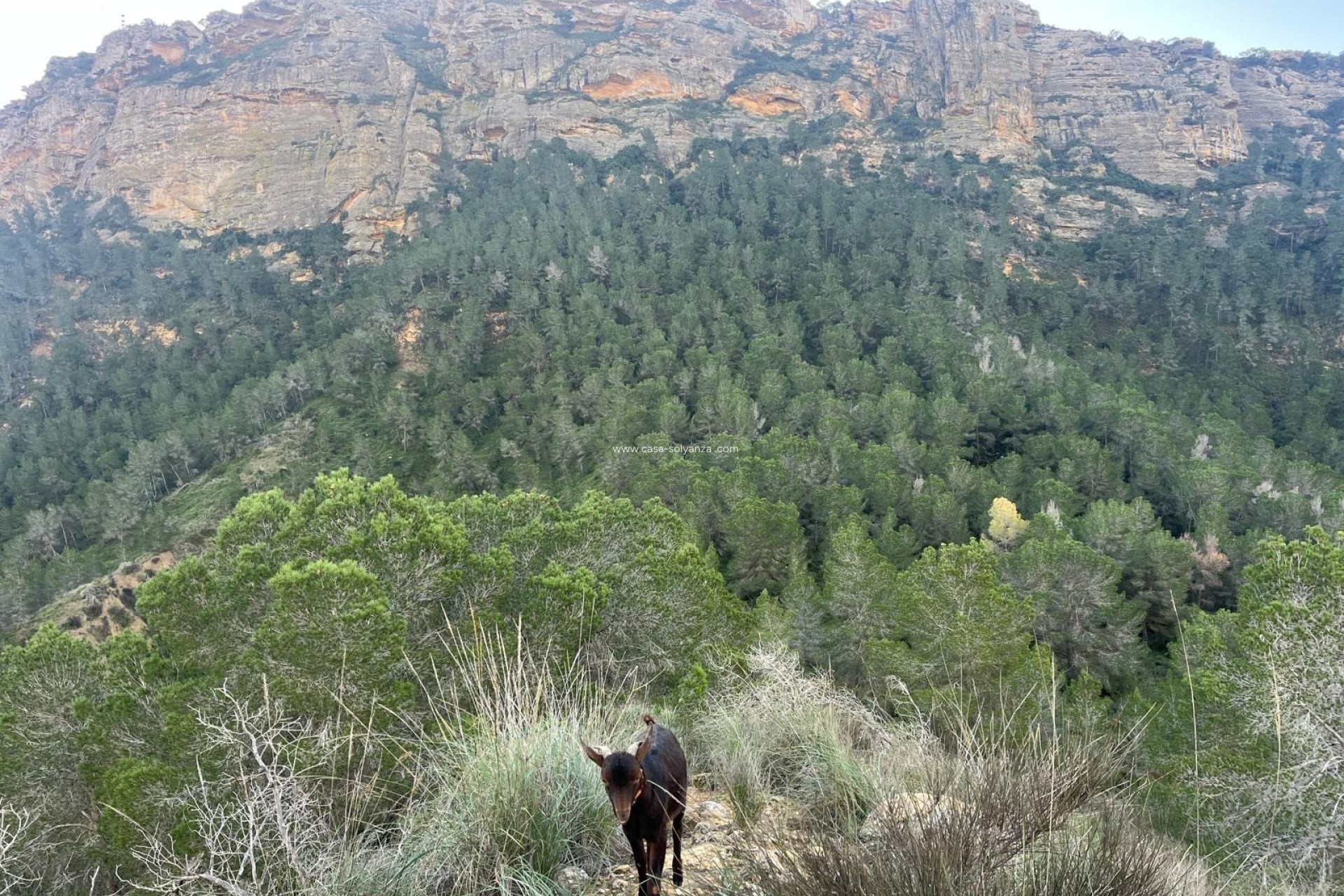 Wiederverkauf - Country Property/Finca - Murcia - Inland