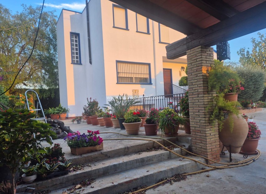 Wiederverkauf - Country Property/Finca - Orihuela - Casco Histórico