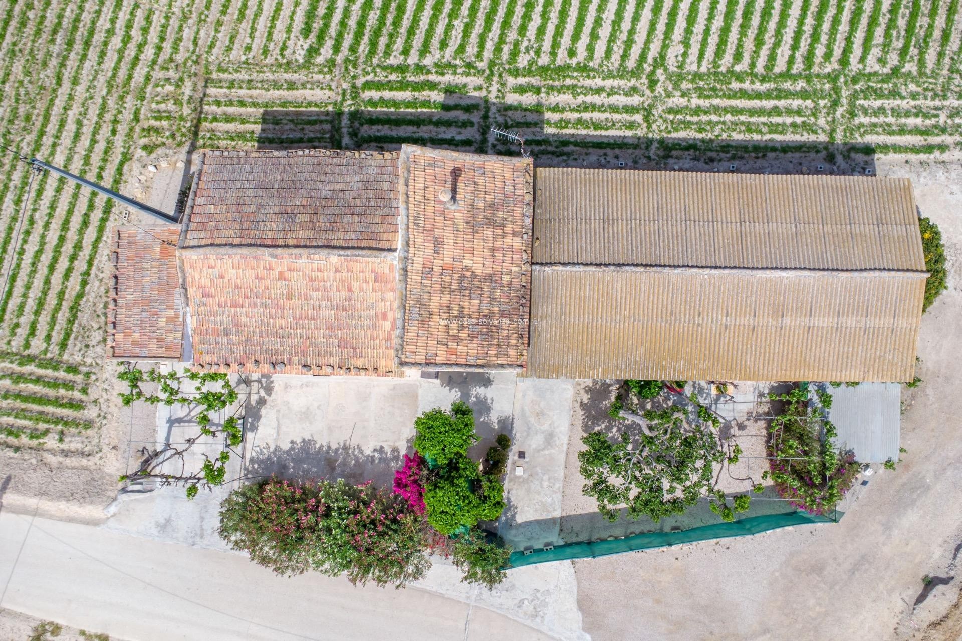 Wiederverkauf - Country Property/Finca - Orihuela - Desamparados-Hurchillo-Torremendo