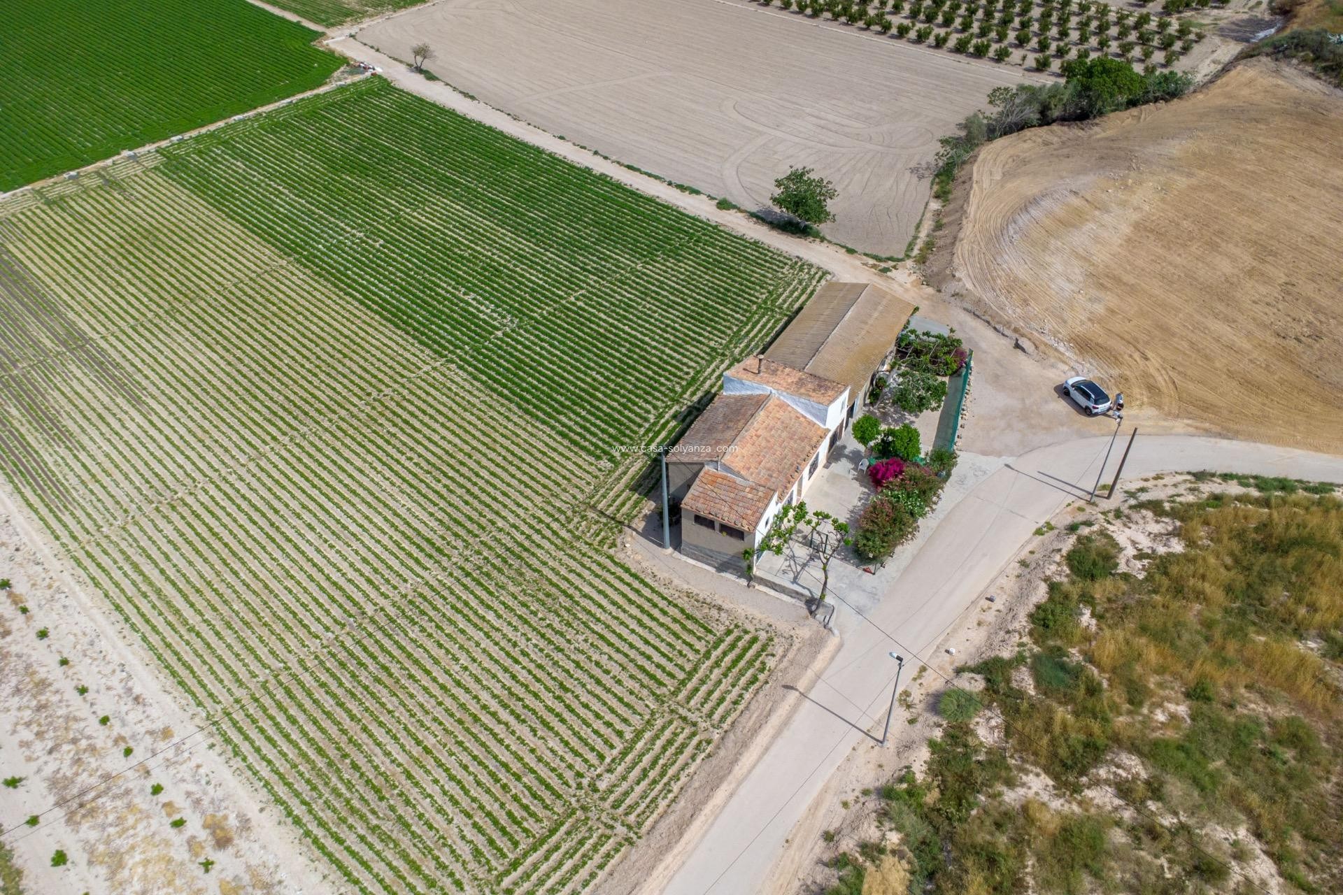 Wiederverkauf - Country Property/Finca - Orihuela - Desamparados