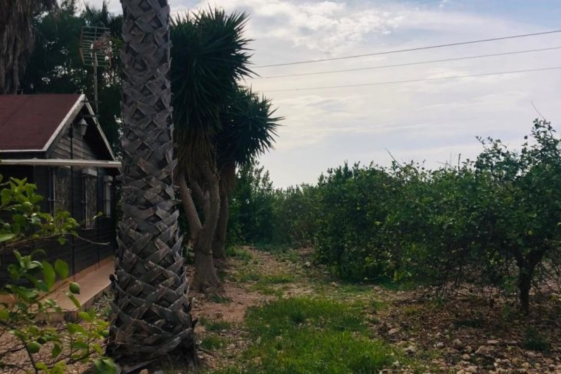 Wiederverkauf - Country Property/Finca - Orihuela - Inland