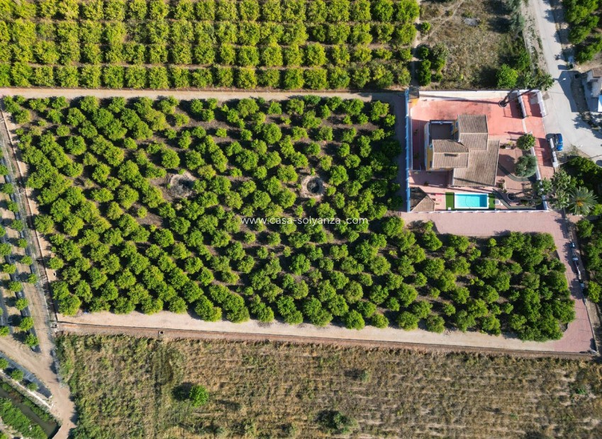 Wiederverkauf - Country Property/Finca - Orihuela - Inland