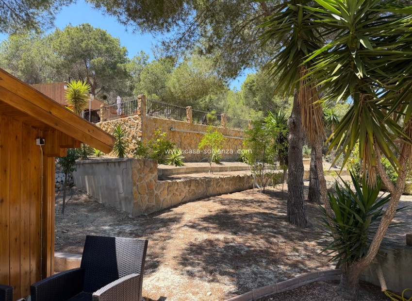 Wiederverkauf - Country Property/Finca - Orihuela - Torremendo