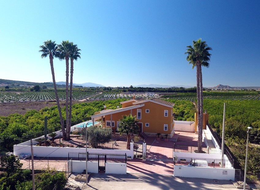 Wiederverkauf - Country Property/Finca - Orihuela