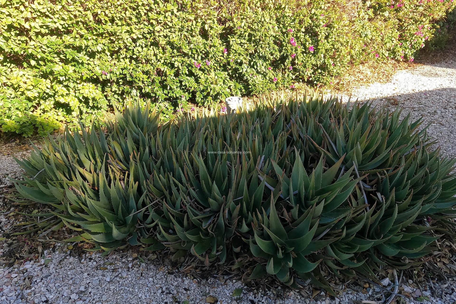 Wiederverkauf - Country Property/Finca - Orihuela