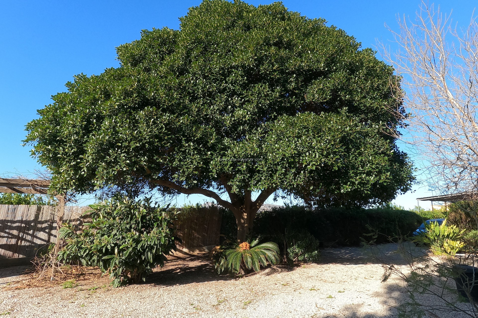 Wiederverkauf - Country Property/Finca - Orihuela