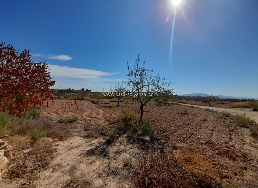 Wiederverkauf - Country Property/Finca - Pinoso - Inland