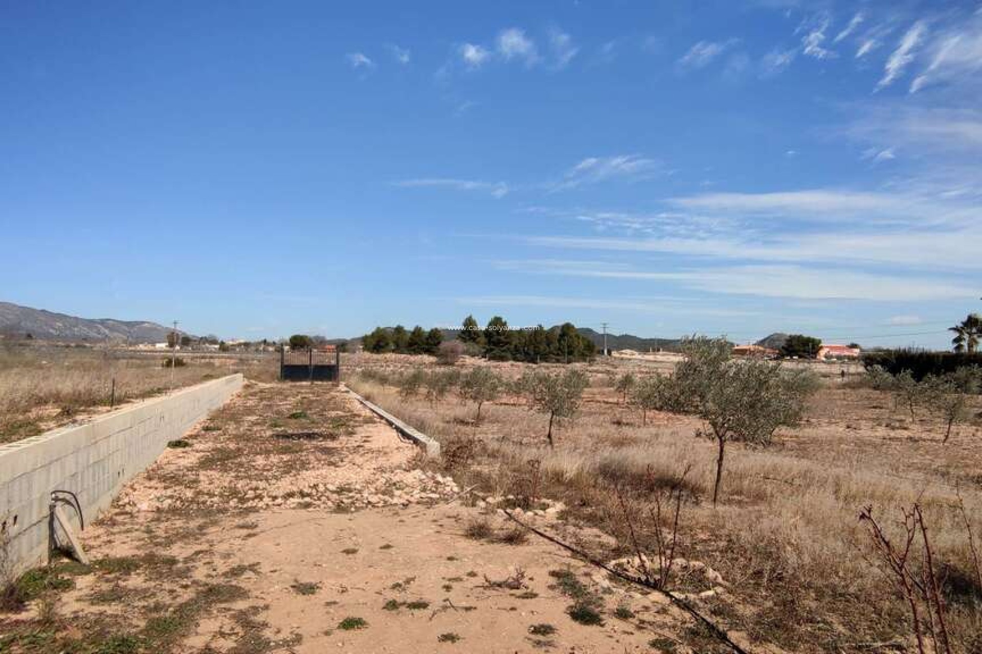 Wiederverkauf - Country Property/Finca - Pinoso - Inland