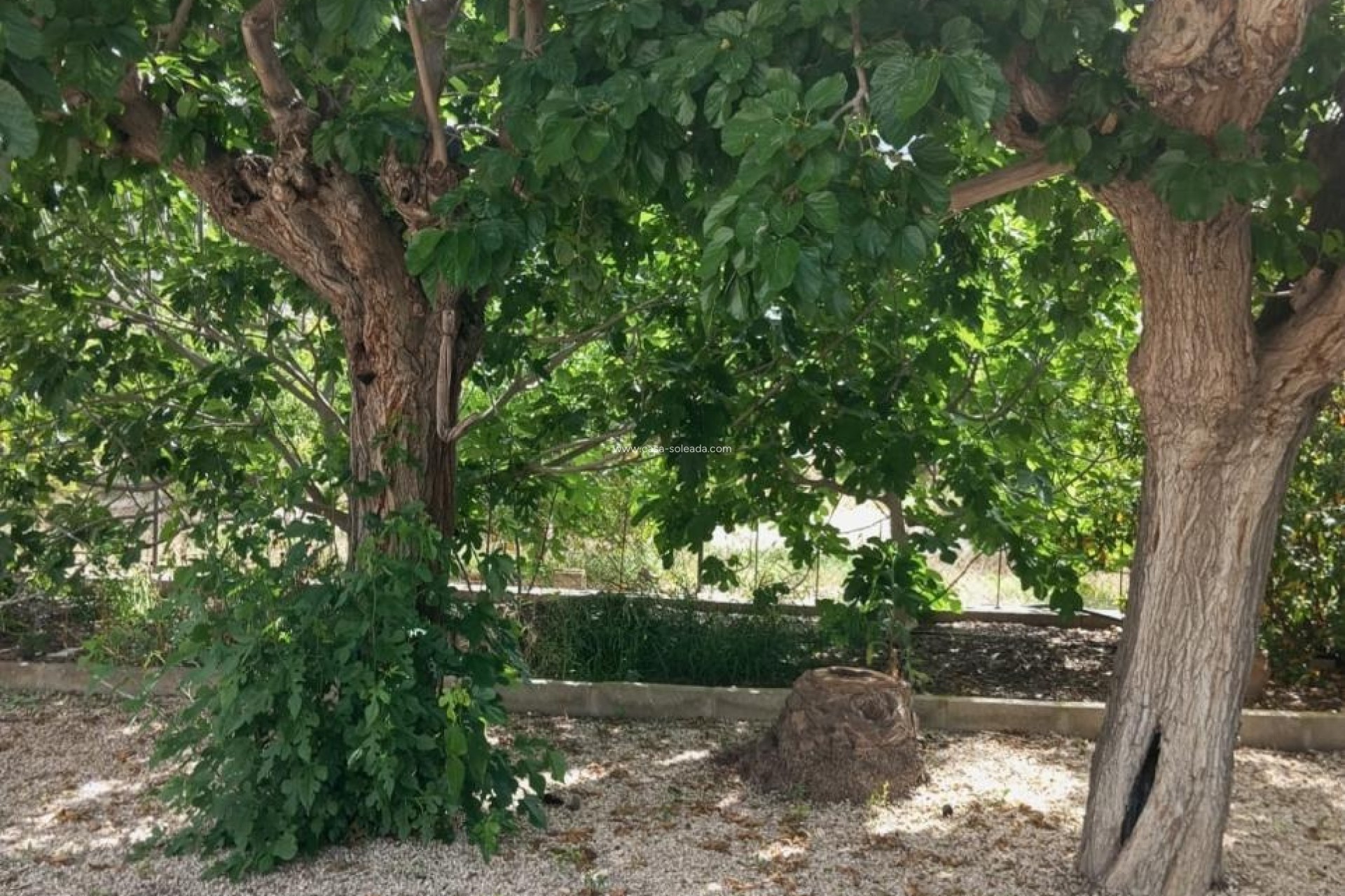 Wiederverkauf - Country Property/Finca - Redován - Inland