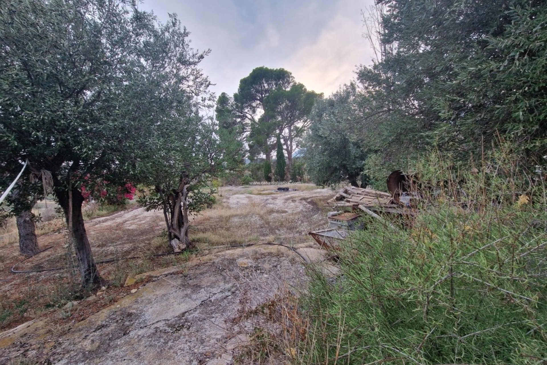 Wiederverkauf - Country Property/Finca - Relleu - Inland