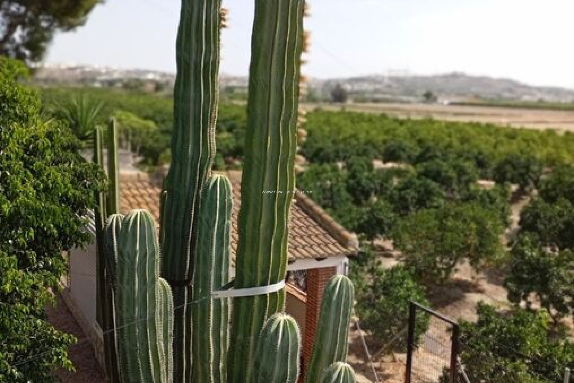 Wiederverkauf - Country Property/Finca - Rojales - Inland