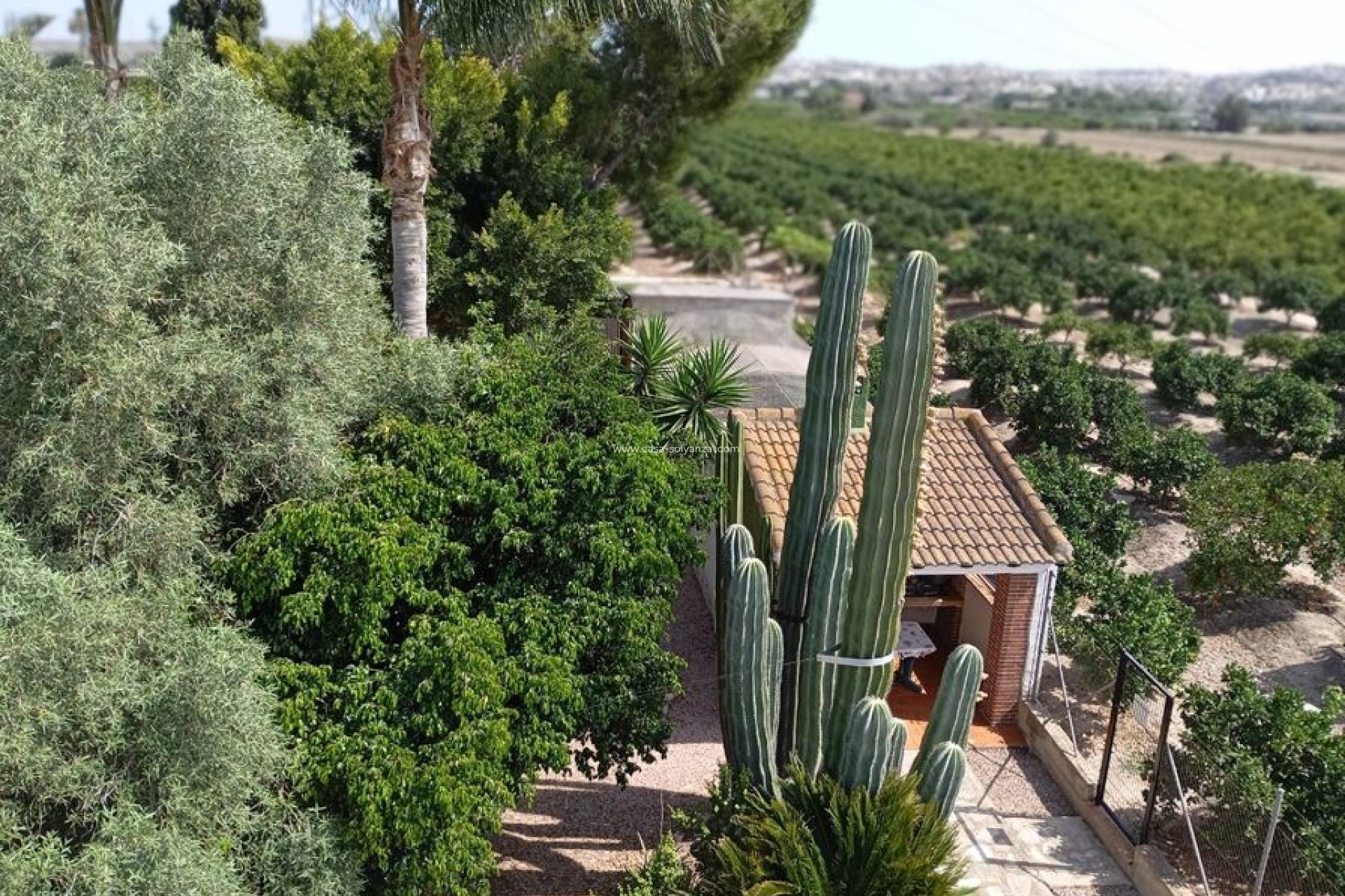 Wiederverkauf - Country Property/Finca - Rojales - Inland