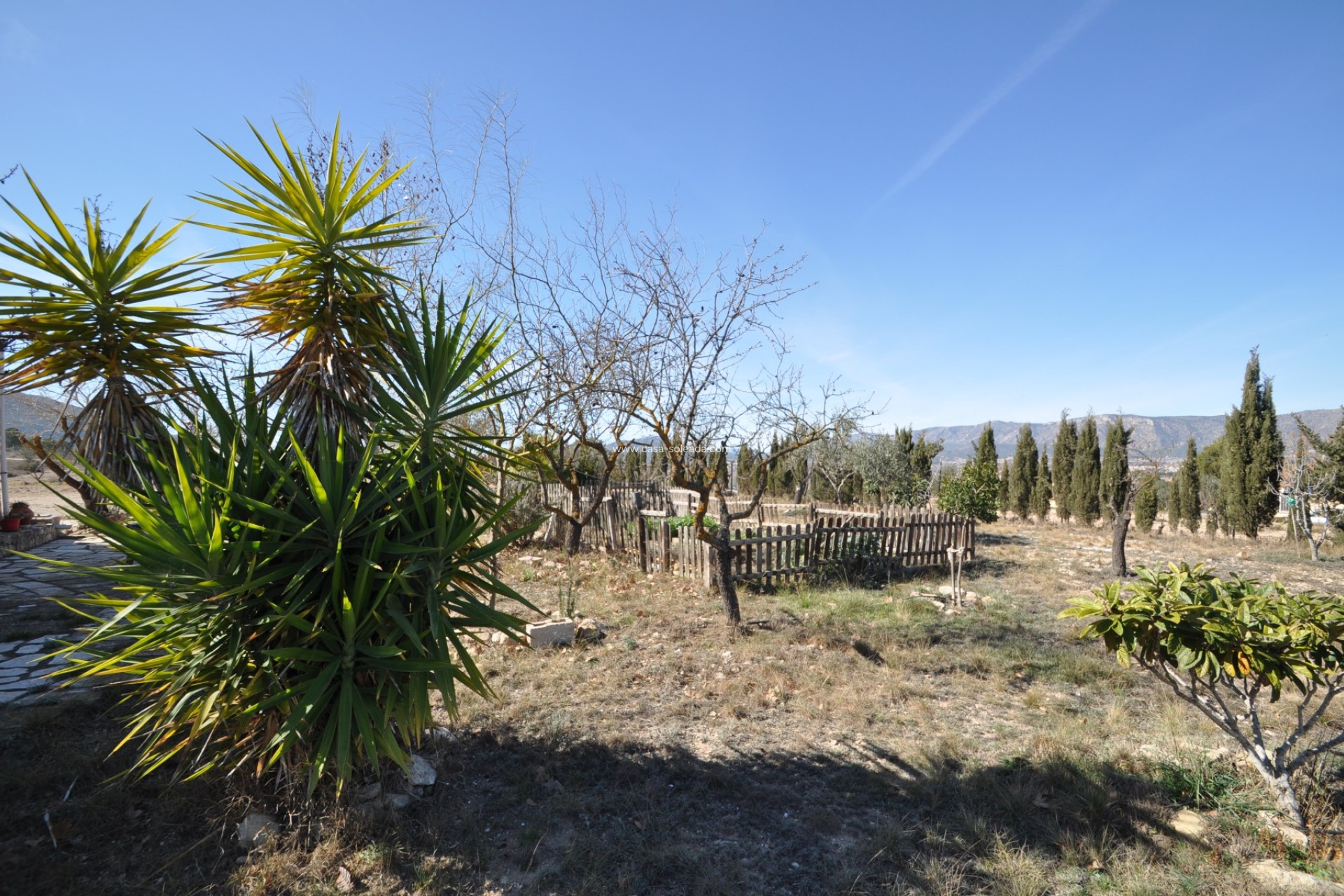 Wiederverkauf - Country Property/Finca - Salinas - Inland