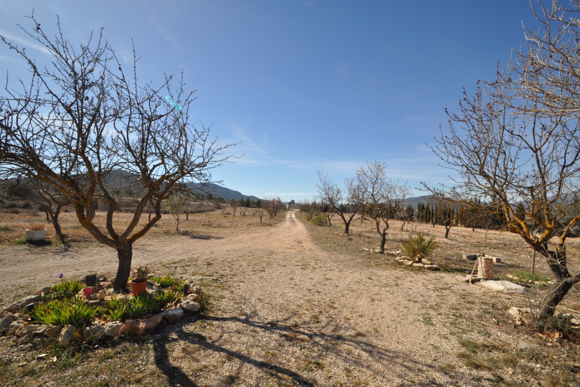 Wiederverkauf - Country Property/Finca - Salinas - Inland