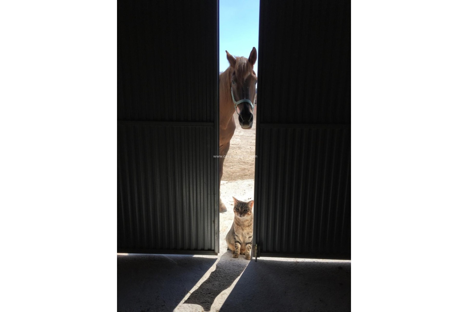 Wiederverkauf - Country Property/Finca - Torre Del Rico