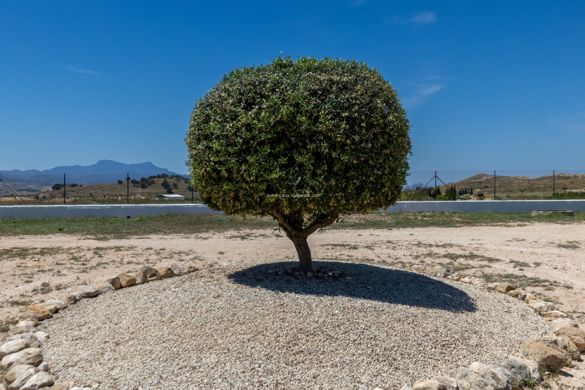 Wiederverkauf - Country Property/Finca - Torre Del Rico