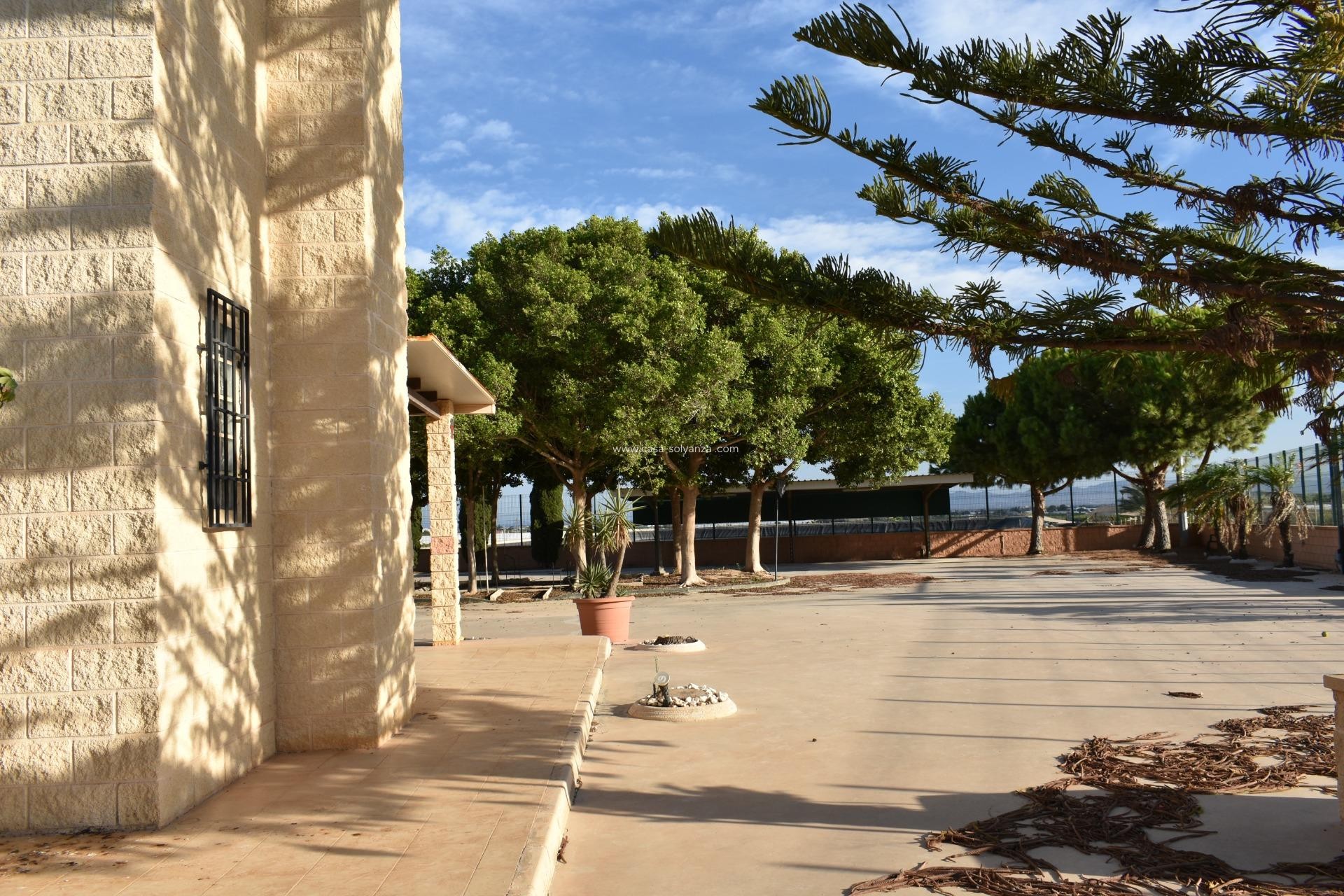 Wiederverkauf - Country Property/Finca - Torre Pacheco - Dolores De Pacheco