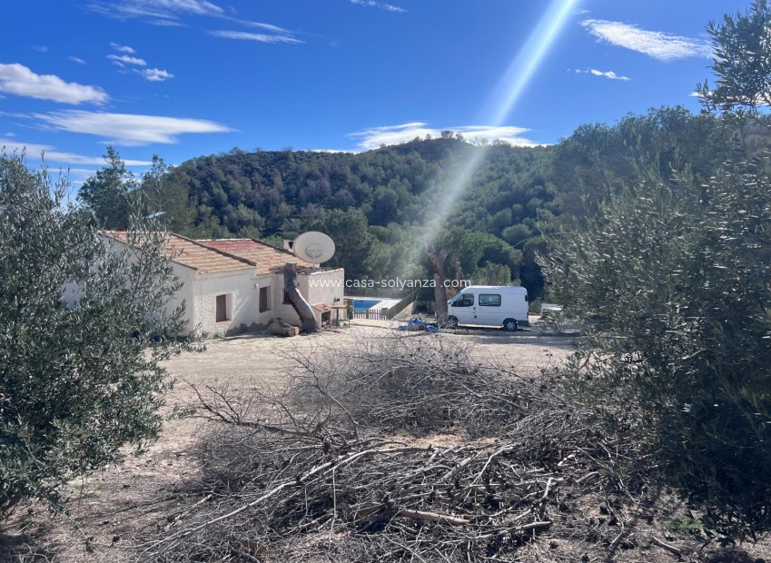 Wiederverkauf - Country Property/Finca - Torremendo