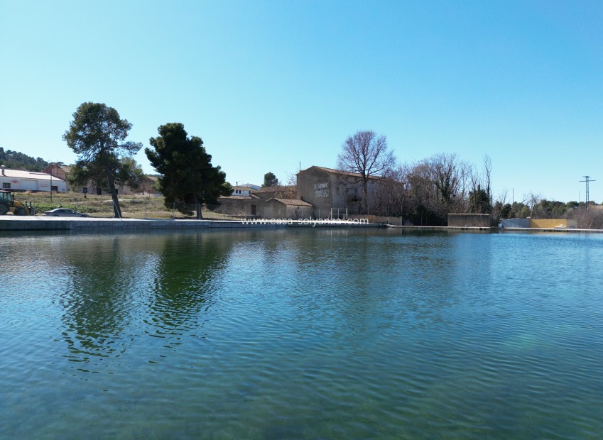 Wiederverkauf - Country Property/Finca - Villena - Inland