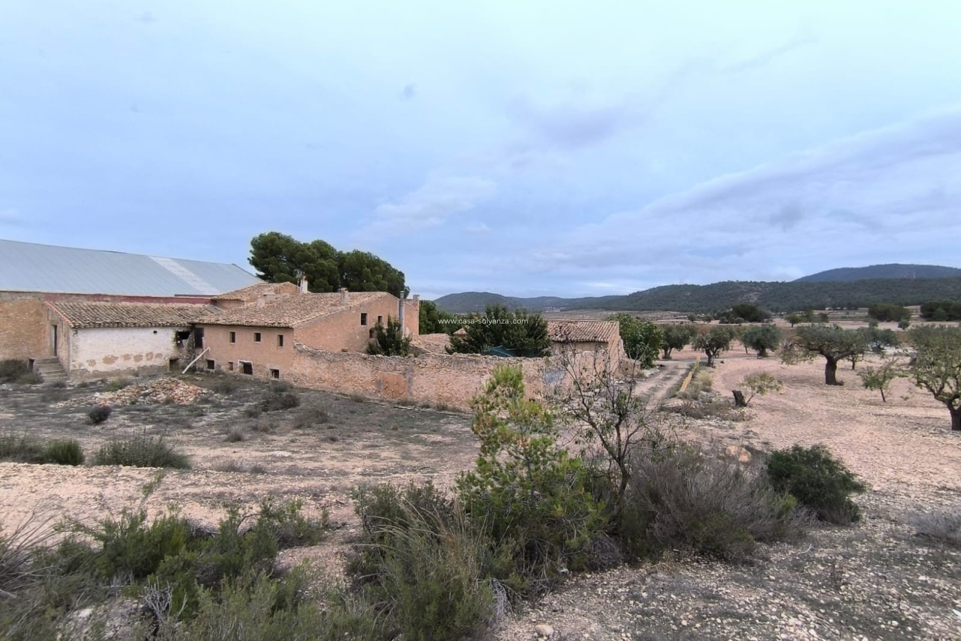 Wiederverkauf - Country Property/Finca - Villena - Inland
