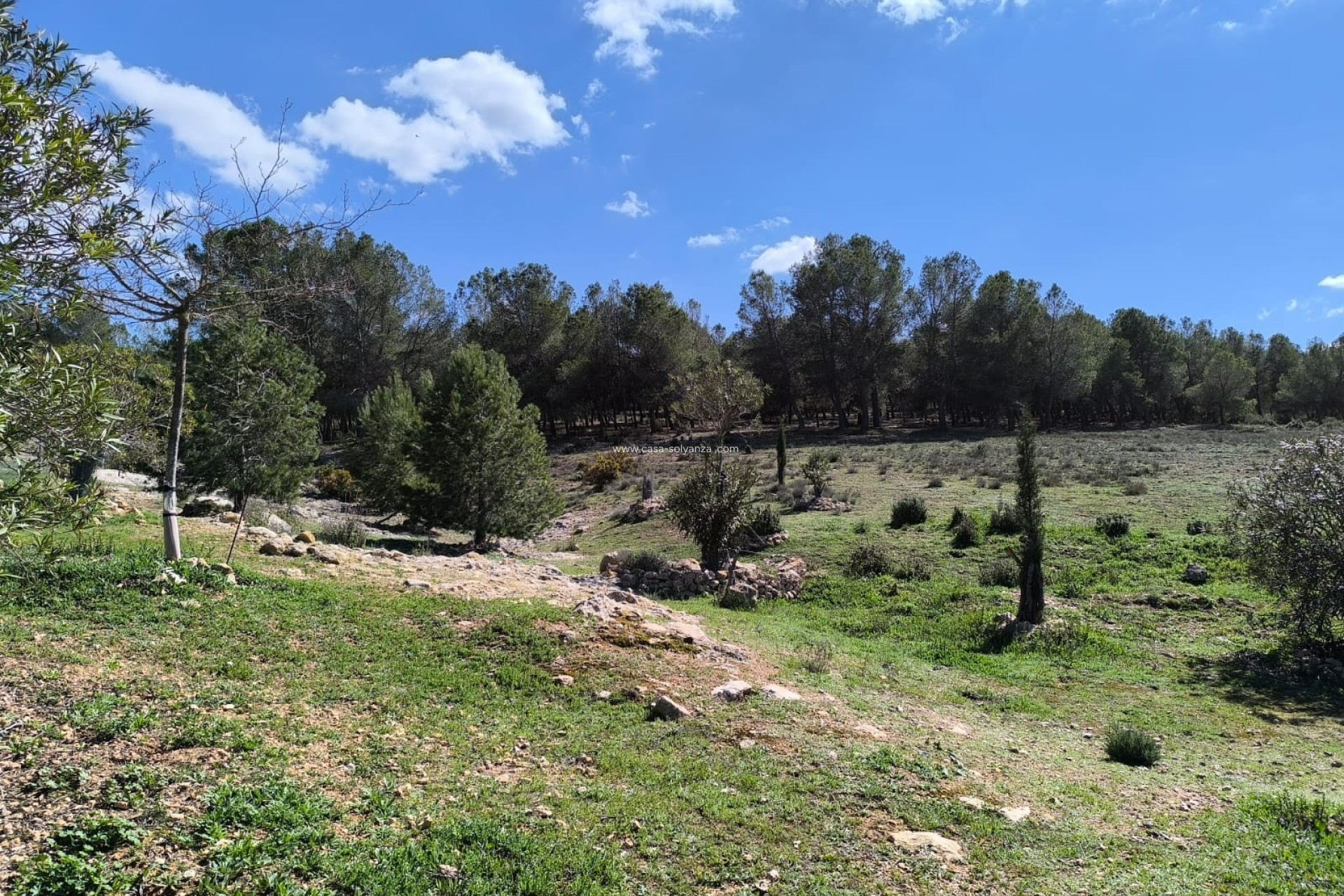 Wiederverkauf - Country Property/Finca - Villena - Inland