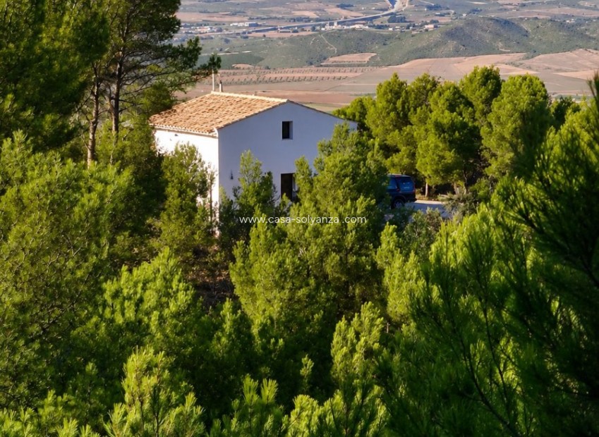 Wiederverkauf - Country Property/Finca - Villena - Inland